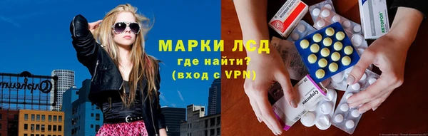 ГАЛЛЮЦИНОГЕННЫЕ ГРИБЫ Алзамай