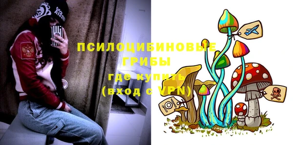 ГАЛЛЮЦИНОГЕННЫЕ ГРИБЫ Алзамай