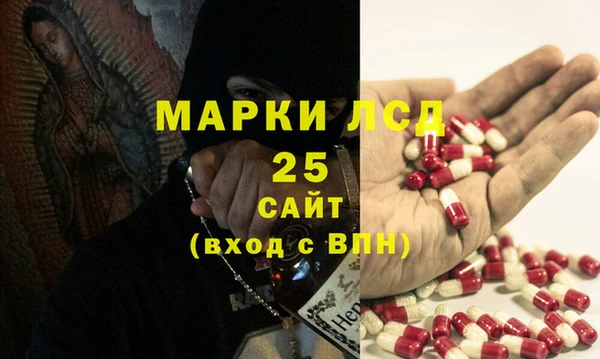 ГАЛЛЮЦИНОГЕННЫЕ ГРИБЫ Алзамай