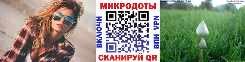 Псилоцибиновые грибы MAGIC MUSHROOMS  мега онион  Щигры 