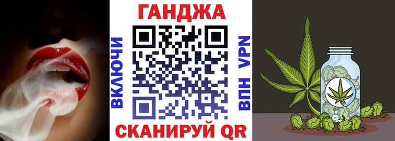 где можно купить   Щигры  mega tor  Шишки марихуана SATIVA & INDICA 